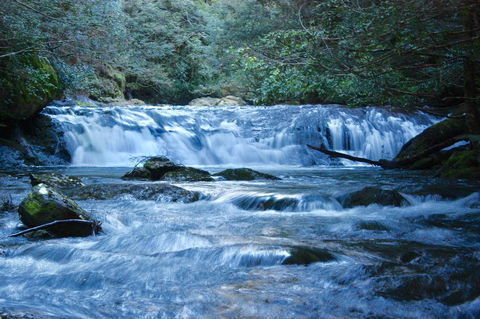 Lemonthyme Wilderness Retreat - New Castle Holiday 10