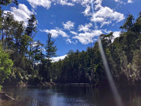 Lemonthyme Wilderness Retreat - New Castle Holiday 7