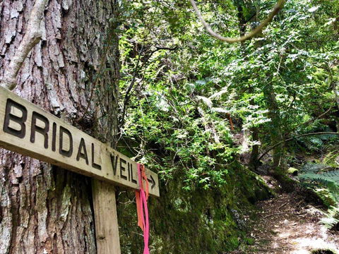 Lemonthyme Wilderness Retreat - New Castle Holiday 18