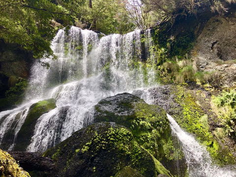 Lemonthyme Wilderness Retreat - New Castle Holiday 14