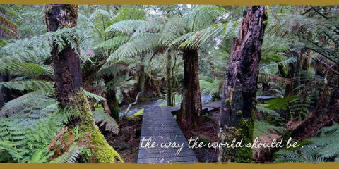 Lemonthyme Wilderness Retreat - New Castle Holiday 17