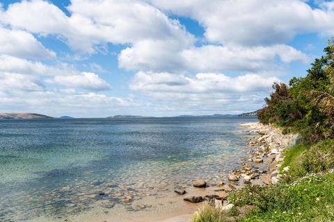 Litora Accommodation - New Castle Holiday 27