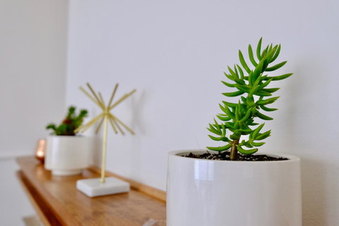 White House - New Castle Holiday 10