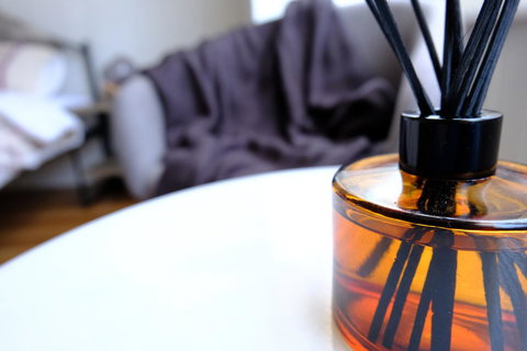 White House - New Castle Holiday 9