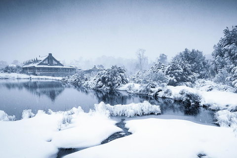 Peppers Cradle Mountain Lodge - New Castle Holiday 24