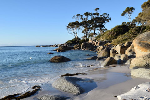 Anchor Wheel Motel - New Castle Holiday 26