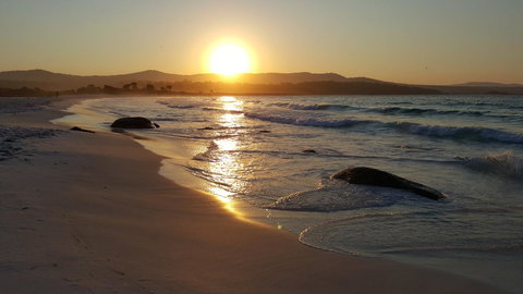 Anchor Wheel Motel - New Castle Holiday 25