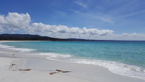 Anchor Wheel Motel - New Castle Holiday 21