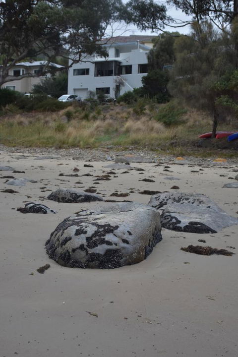 Beachside Taroona With Spa - New Castle Holiday 21