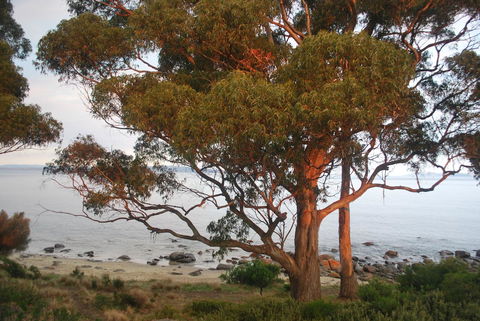 Beachside Taroona With Spa - New Castle Holiday 18
