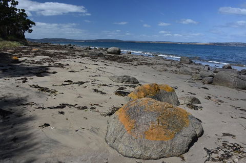 Beachside Taroona With Spa - New Castle Holiday 30