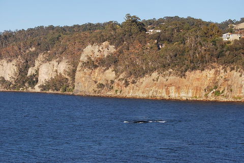 Beachside Taroona With Spa - New Castle Holiday 29