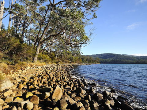 NRMA Port Arthur Holiday Park - New Castle Holiday 0