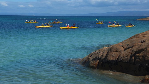 Cove Cottage - New Castle Holiday 8