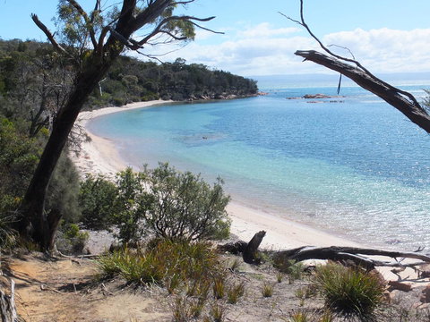 Cove Cottage - New Castle Holiday 12