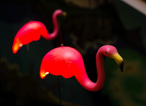 Alabama Hotel Hobart - New Castle Holiday 42