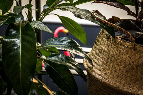 Alabama Hotel Hobart - New Castle Holiday 25