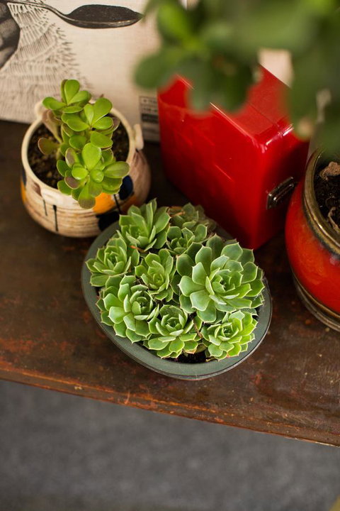 Alabama Hotel Hobart - New Castle Holiday 39