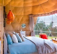 Domescapes in the Vines - New Castle Holiday