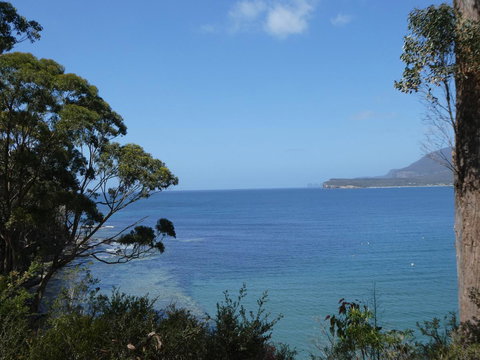 Osprey Lodge & Bungalow - New Castle Holiday 3