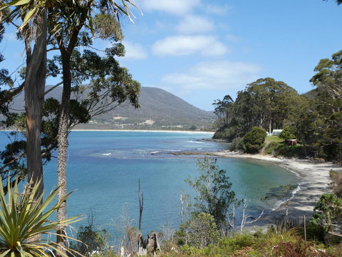 Osprey Lodge & Bungalow - New Castle Holiday 4