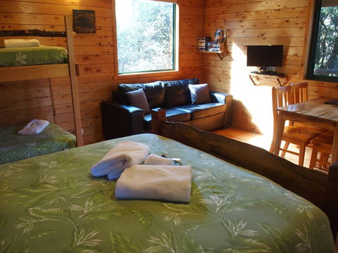 Cradle Highlander - New Castle Holiday 34