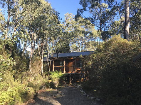 Cradle Highlander - New Castle Holiday 14