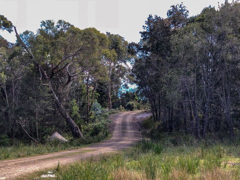 BAY OF FIRES ECO HUT Off Grid Experience At Binalong Bay - New Castle Holiday 12