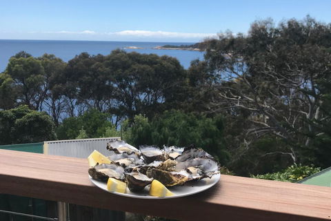 HIDDEN HAVEN Binalong Bay - New Castle Holiday 14