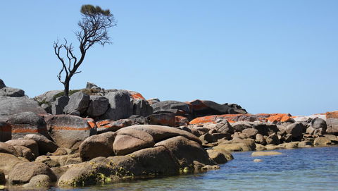 BAY OF FIRES SEACHANGE Ocean Frontage - New Castle Holiday 21