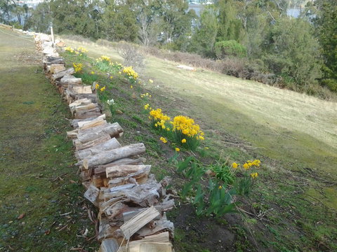 Marinavisage - New Castle Holiday 19