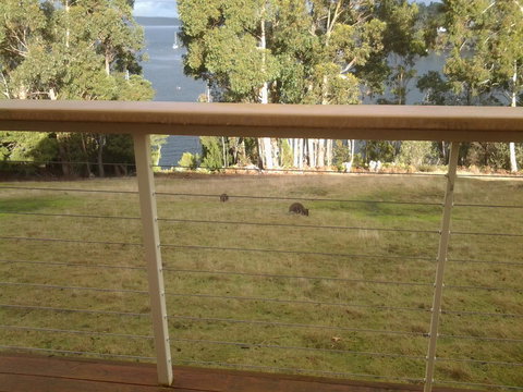 Marinavisage - New Castle Holiday 20