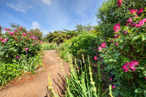 Wagners Cottages - New Castle Holiday 30