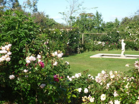 Wagners Cottages - New Castle Holiday 6