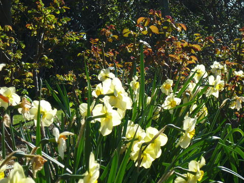 Wagners Cottages - New Castle Holiday 13