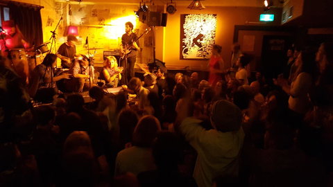 Little Nee's - New Castle Holiday 7