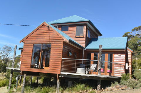 The Tree House - New Castle Holiday 1