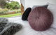 Avalon Coastal Retreat - thumb 16