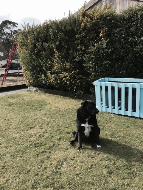 Strahan Beach Tourist Park - New Castle Holiday 9