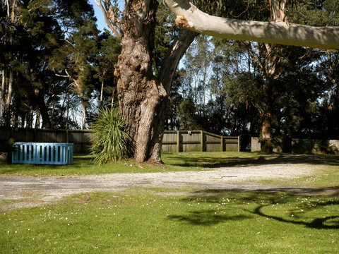 Strahan Beach Tourist Park - New Castle Holiday 5