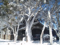 Book Dinner Plain Accommodation Vacations New Castle Holiday New Castle Holiday