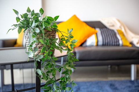 Brand New One/Two - Bed Room Apartment @ Maribyrnong - New Castle Holiday 0