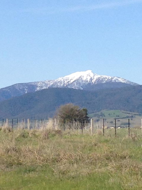 High Country Holiday Park - New Castle Holiday 34