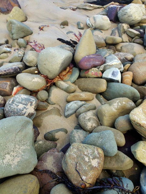 Lorne Surf Apartments - New Castle Holiday 15