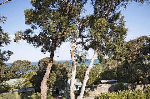 Lorne Surf Apartments - New Castle Holiday 6