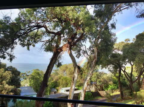 Lorne Surf Apartments - New Castle Holiday 4