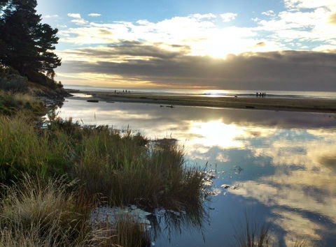 Lorne Surf Apartments - New Castle Holiday 22