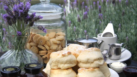 Nautique Beach House - New Castle Holiday 16