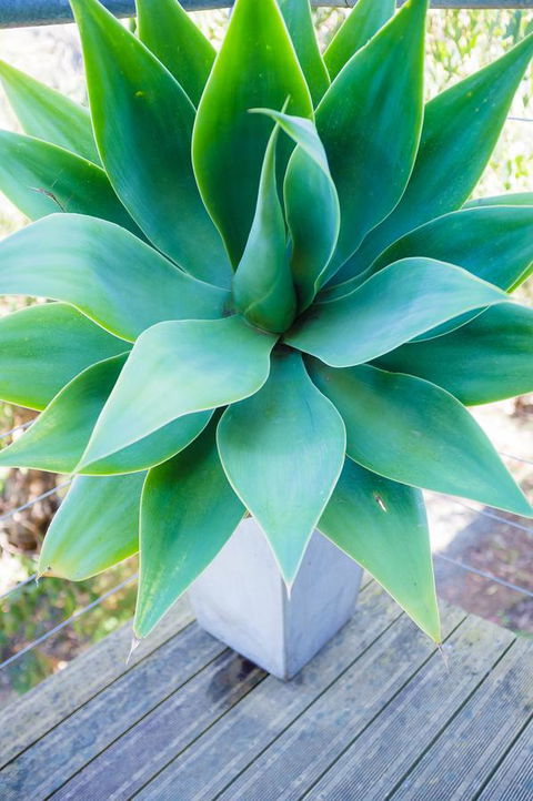 Ocean View Treetops Retreat - New Castle Holiday 10