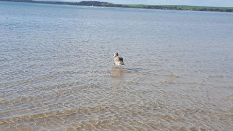 Wilsons Promontory Motel - New Castle Holiday 35